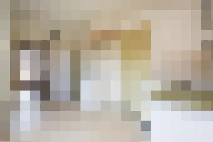 Biesboschstraat 16 Nieuwendijk thumbnail 20