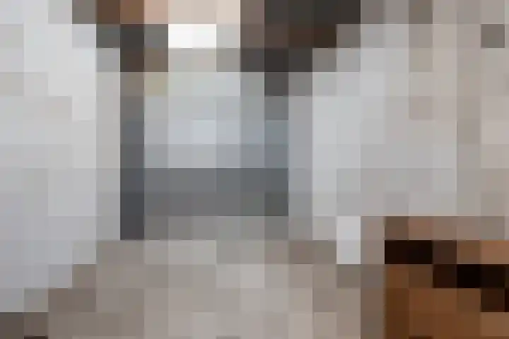 Biesboschstraat 16 Nieuwendijk thumbnail 36