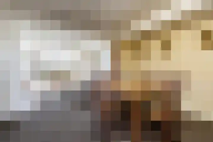 Biesboschstraat 16 Nieuwendijk thumbnail 4