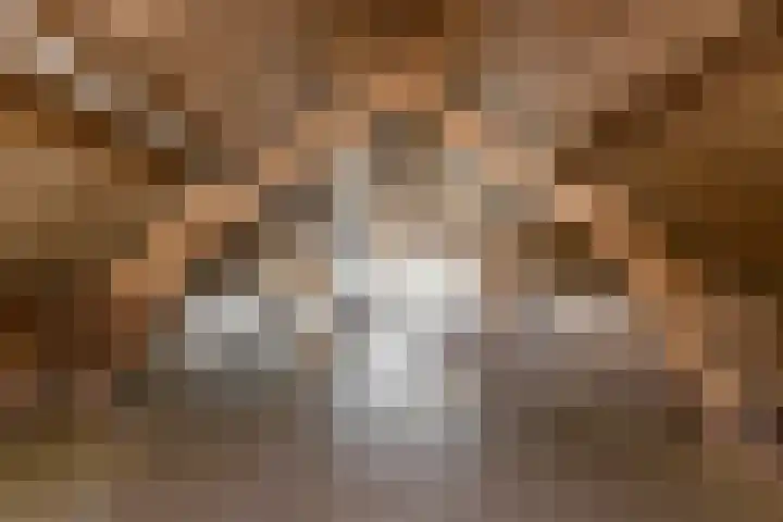 Biesboschstraat 16 Nieuwendijk thumbnail 53