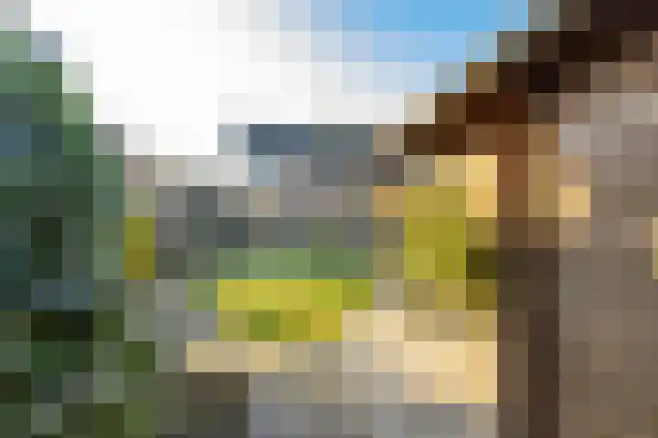 Biesboschstraat 16 Nieuwendijk thumbnail 55