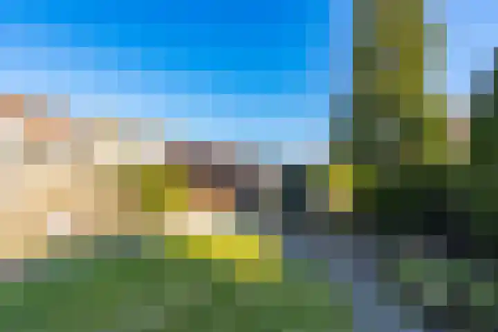 Biesboschstraat 16 Nieuwendijk thumbnail 57