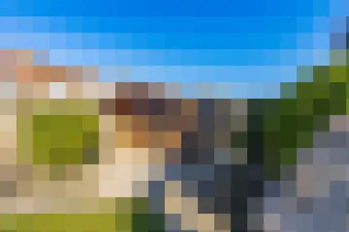 Biesboschstraat 16 Nieuwendijk thumbnail 58