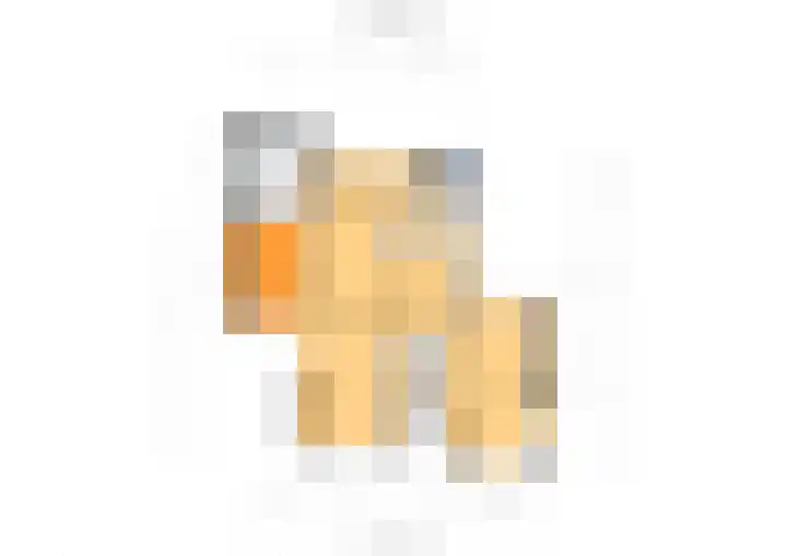 Biesboschstraat 16 Nieuwendijk thumbnail 65