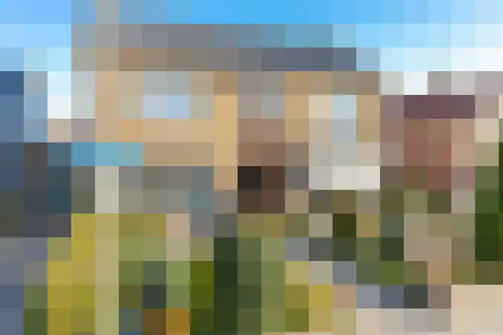Biesboschstraat 16 Nieuwendijk thumbnail 7