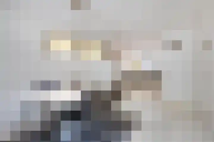 Biesboschstraat 2 Sittard thumbnail 13