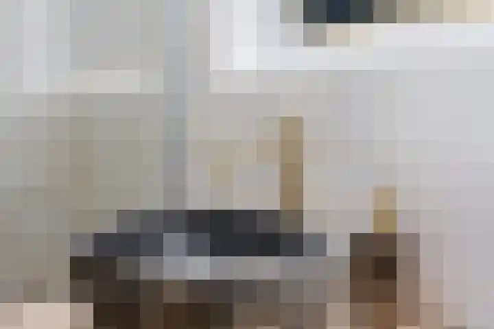 Biesboschstraat 2 Sittard thumbnail 20