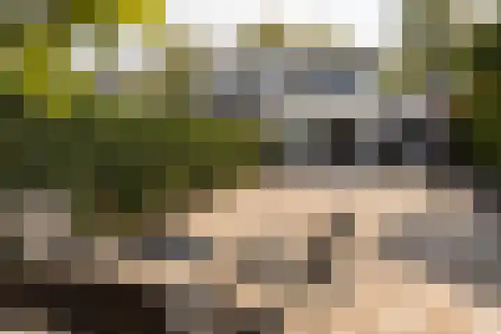 Biesboschstraat 2 Sittard thumbnail 32