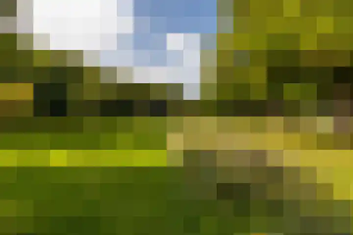 Biesboschstraat 2 Sittard thumbnail 33