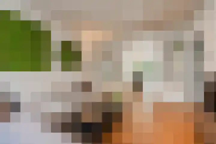 Biesboschstraat 27 Amsterdam thumbnail 8