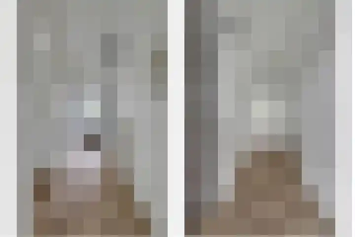 Biesdelselaan 2 d Velp thumbnail 10