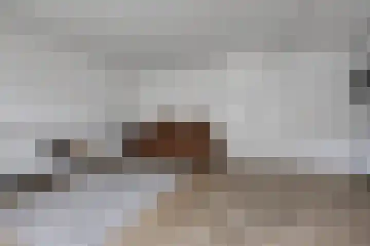 Biesdelselaan 2 d Velp thumbnail 14