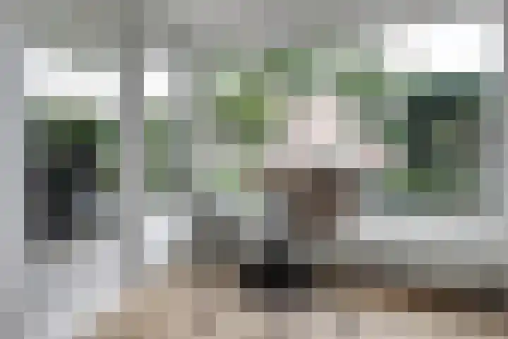 Biesdelselaan 2 d Velp thumbnail 15