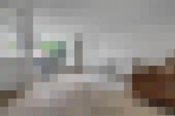 Biesdelselaan 2 d Velp foto 2