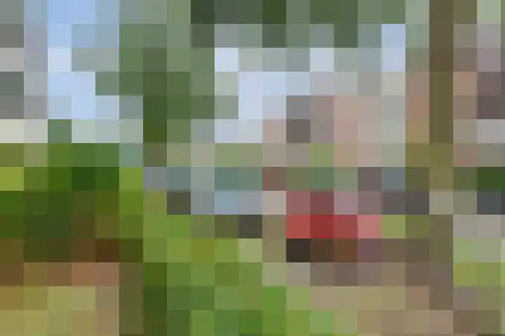 Biesdelselaan 2 d Velp thumbnail 32