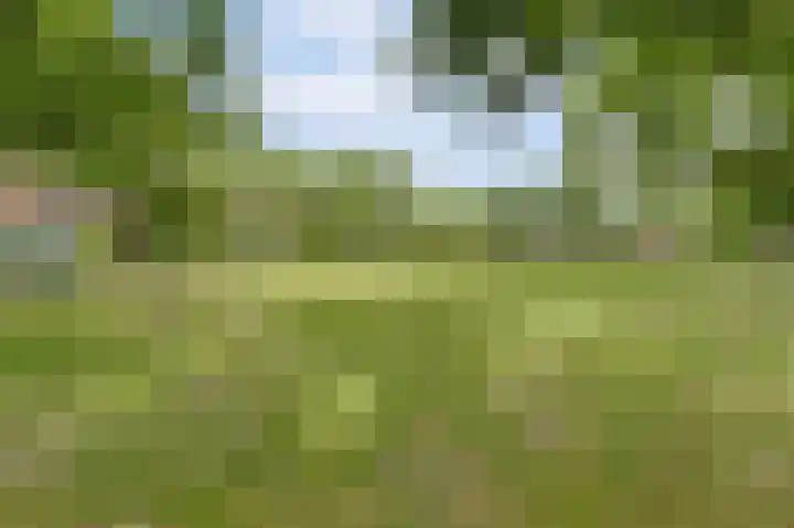 Biesdelselaan 2 d Velp thumbnail 37