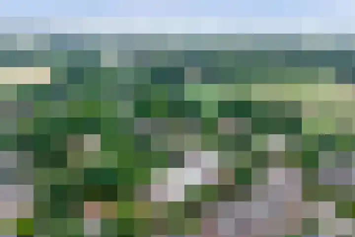 Biesdelselaan 2 d Velp thumbnail 4
