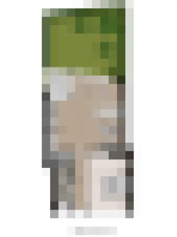 Biesdelselaan 2 d Velp thumbnail 53