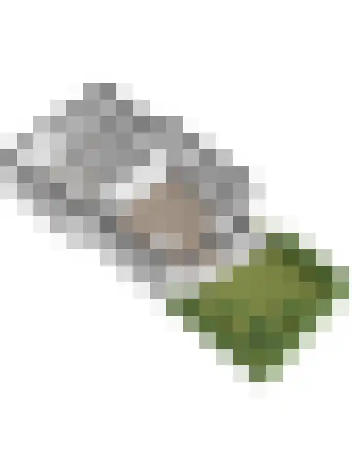 Biesdelselaan 2 d Velp thumbnail 54