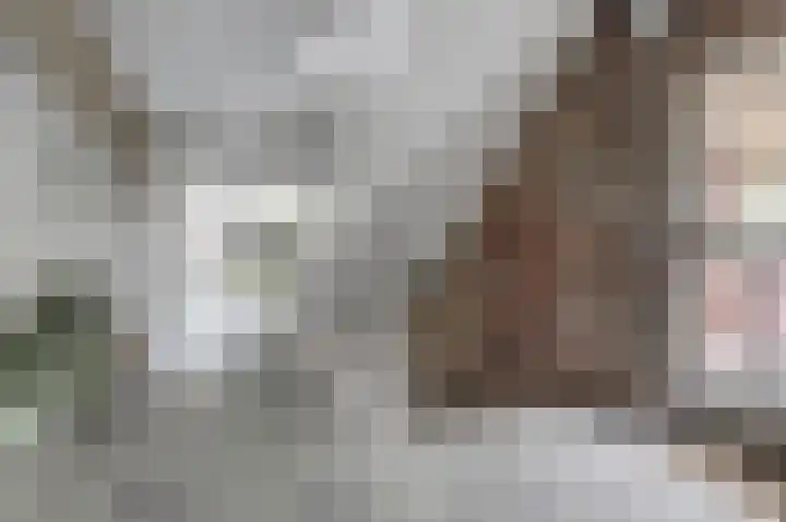 Biesdelselaan 2 d Velp thumbnail 6