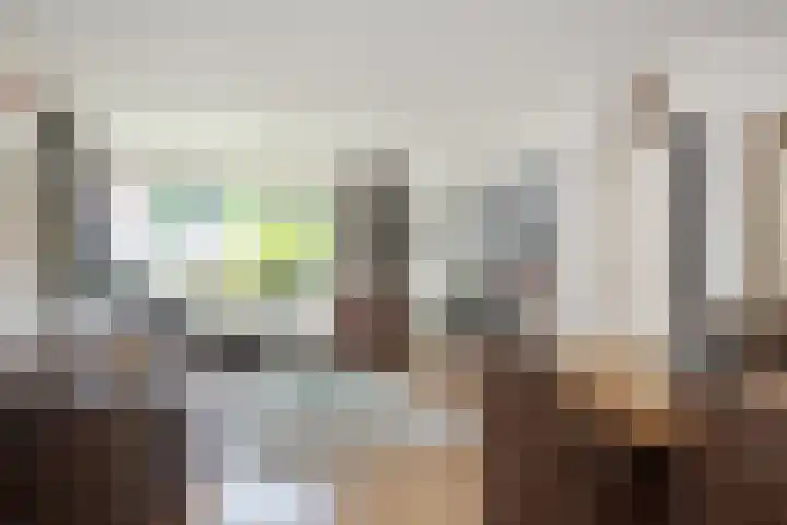 Biesdelselaan 2 e Velp thumbnail 12