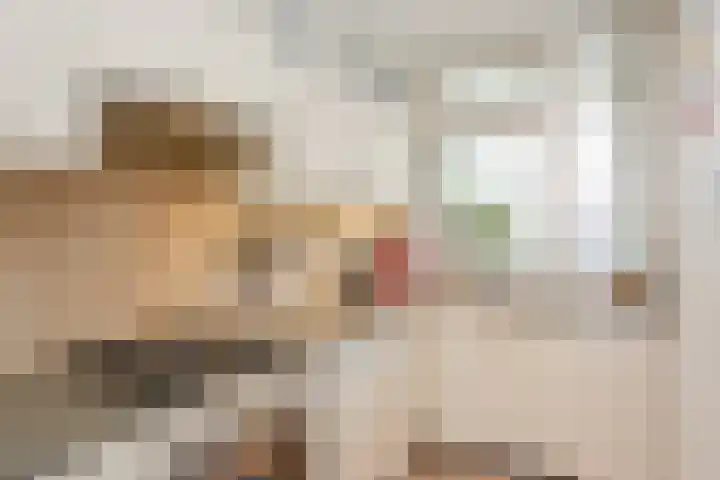 Biesdelselaan 2 e Velp thumbnail 14