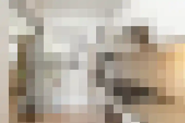 Biesdelselaan 2 e Velp thumbnail 15