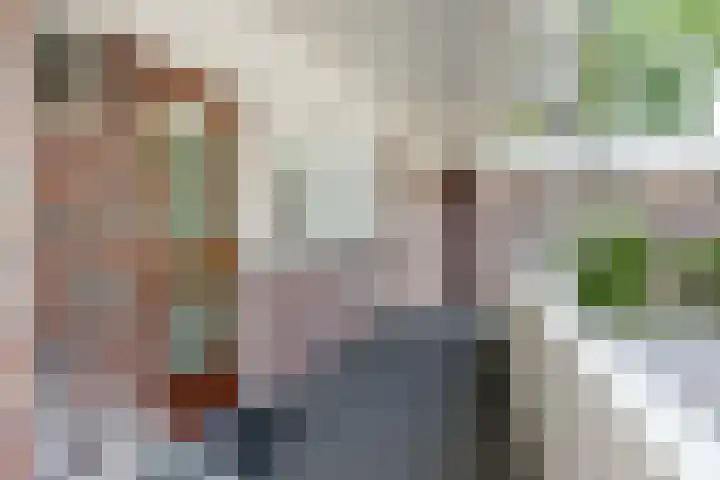 Biesdelselaan 2 e Velp thumbnail 18