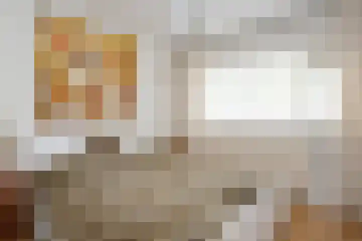Biesdelselaan 2 e Velp thumbnail 19