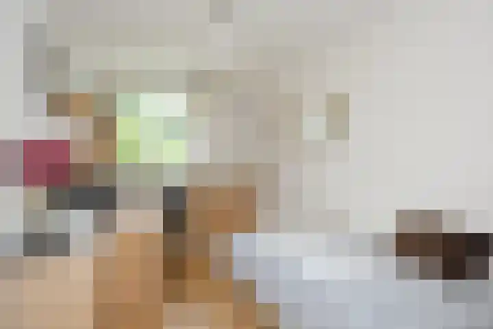 Biesdelselaan 2 e Velp thumbnail 21