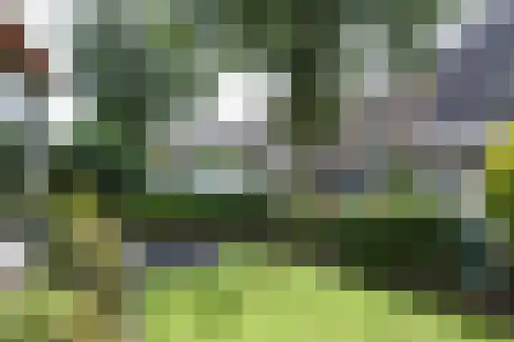 Biesdelselaan 2 e Velp thumbnail 27