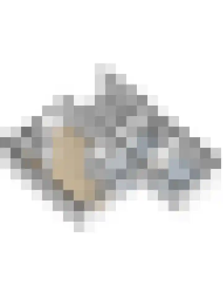 Biesdelselaan 2 e Velp thumbnail 28