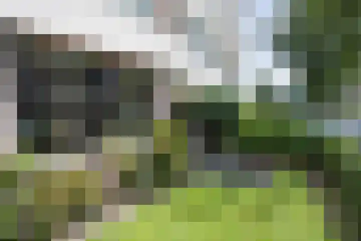 Biesdelselaan 2 e Velp thumbnail 28