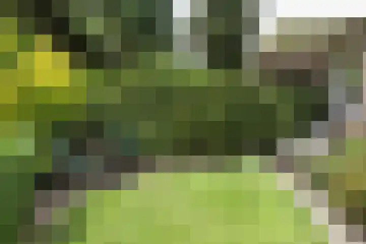 Biesdelselaan 2 e Velp thumbnail 31