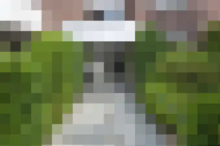 Biesdelselaan 2 e Velp thumbnail 4