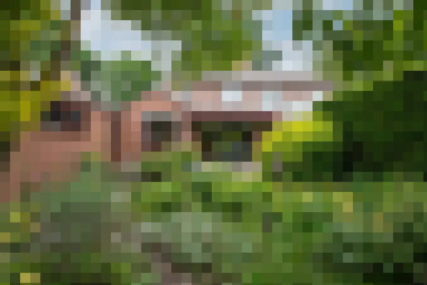 Biesdelselaan 22 b Velp