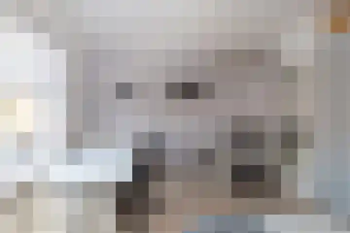 Bieseiland 12 Rijswijk thumbnail 22