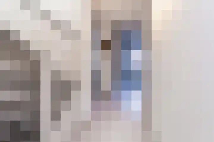 Bieseiland 12 Rijswijk thumbnail 29
