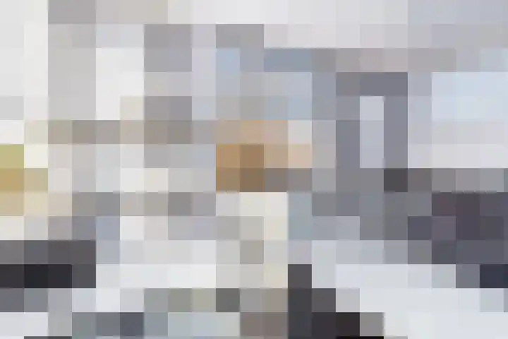 Bieseiland 12 Rijswijk thumbnail 35