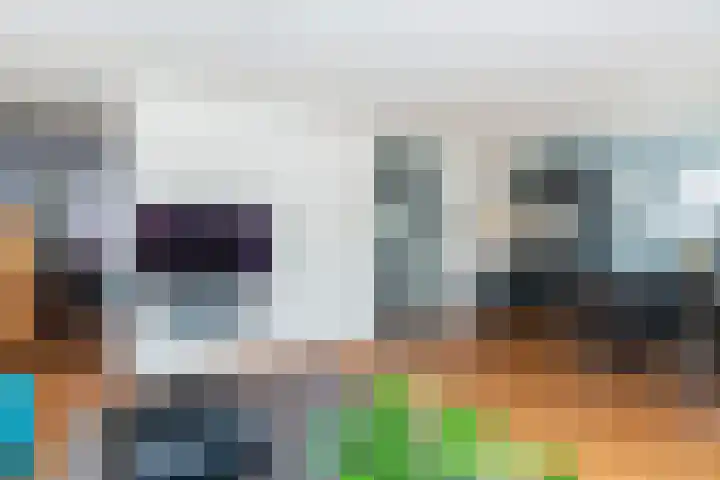 Bieseiland 12 Rijswijk thumbnail 7