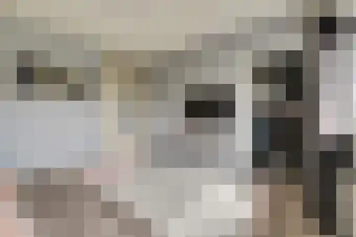 Bieselaar 26 's Gravenmoer thumbnail 21