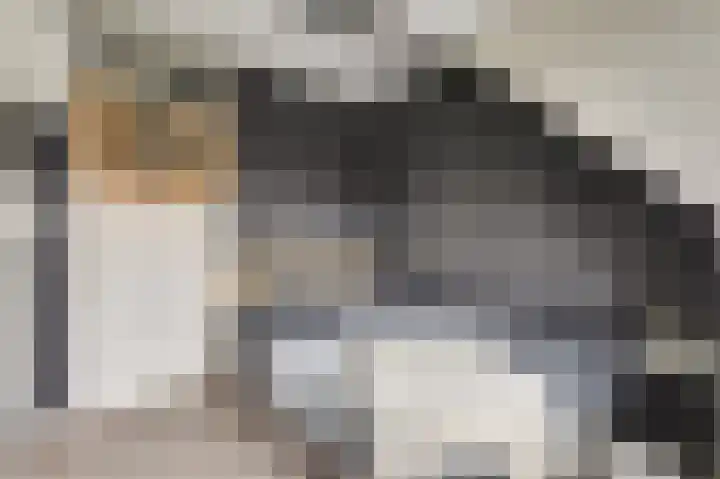 Bieselaar 26 's Gravenmoer thumbnail 23