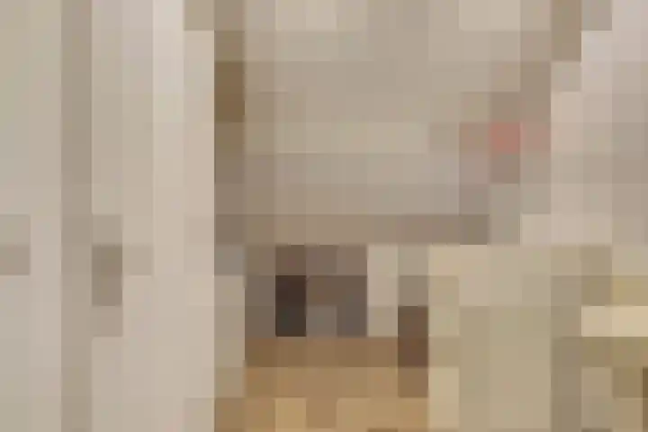 Bieselaar 26 's Gravenmoer thumbnail 27