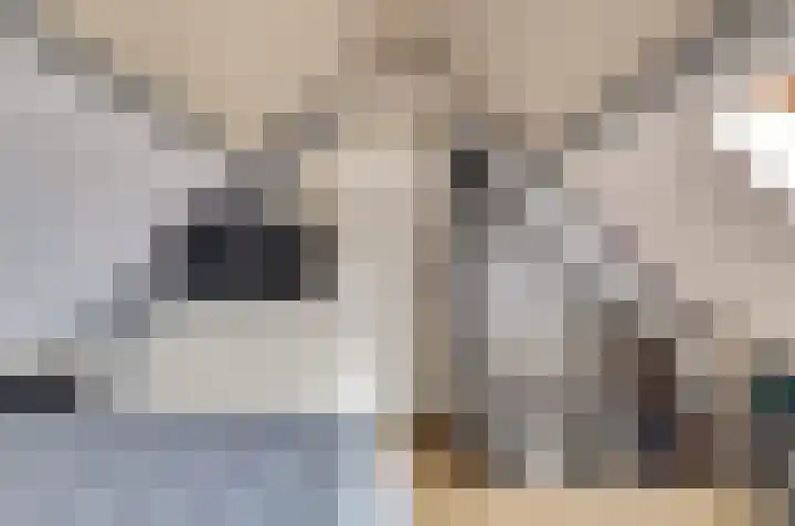 Bieselaar 26 's Gravenmoer thumbnail 28