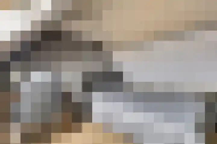 Bieselaar 26 's Gravenmoer thumbnail 29