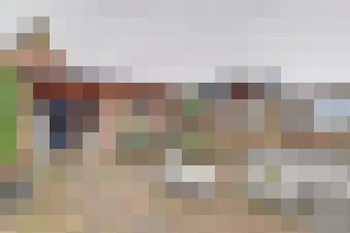Bieselaar 26 's Gravenmoer thumbnail 34