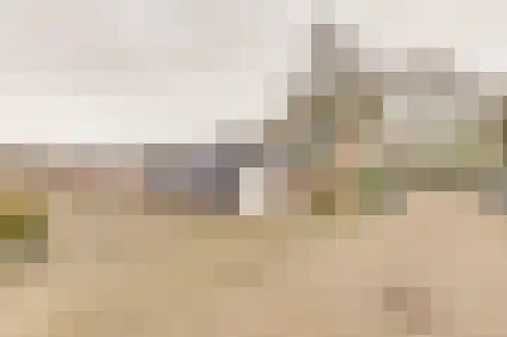 Bieselaar 26 's Gravenmoer thumbnail 38