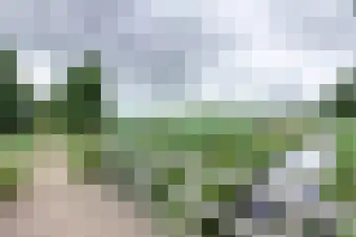Bieselaar 26 's Gravenmoer thumbnail 44