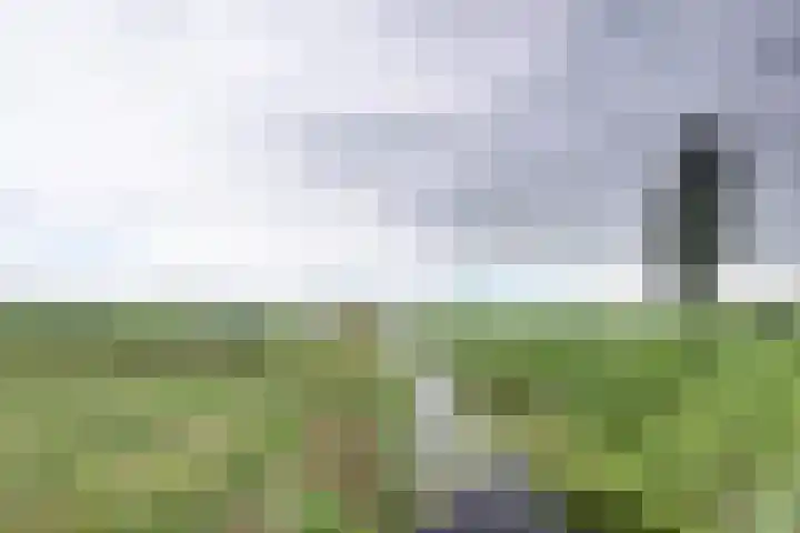 Bieselaar 26 's Gravenmoer thumbnail 45