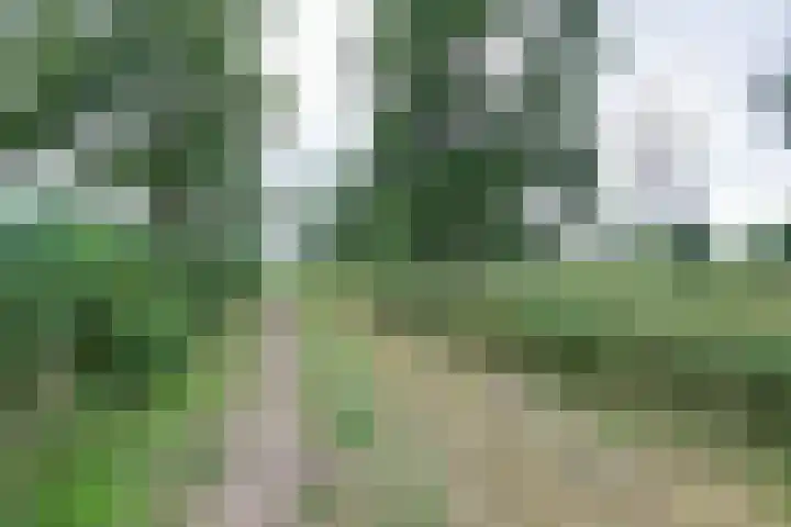 Bieselaar 26 's Gravenmoer thumbnail 46